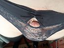 Iemand, foto 4000x3000, 9 reacties, 22 stemmen