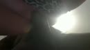 Ik heb er geen controle over!, film 00:00:00, 9 reacties, 57 stemmen