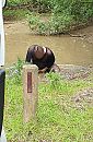 In de modder, foto 980x1481, 2 reacties, 8 stemmen