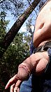 In het bos 2, foto 1920x3413, 3 reacties, 19 stemmen
