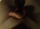 In rust, foto 4000x3000, 2 reacties, 4 stemmen