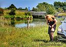 Jarretel, foto 1193x852, 14 reacties, 76 stemmen