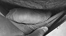 Just me 2, foto 1154x635, 3 reacties, 8 stemmen