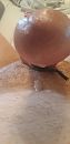 Just the first drop, foto 1944x4000, 0 reacties, 2 stemmen