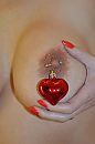 Kerst 2019-3, foto 2659x4000, 4 reacties, 32 stemmen
