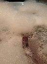Kiekeboe!, foto 3000x4000, 0 reacties, 4 stemmen