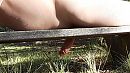 Kiekeboe!, foto 833x472, 5 reacties, 26 stemmen
