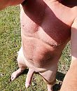Klaar,, foto 2182x2571, 5 reacties, 13 stemmen