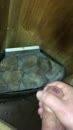 Klaarkomen in de sauna, film 00:00:24, 4 reacties, 21 stemmen