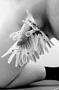 Knijpers....., foto 1806x2750, 3 reacties, 8 stemmen