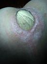 Laatste training, foto 2448x3264, 3 reacties, 7 stemmen