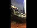 Latex in openbaar en cumshot, foto 2048x1536, 1 reacties, 9 stemmen