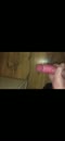 Lekker spuiten..., film 00:00:23, 3 reacties, 12 stemmen