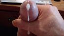 Lekker, foto 2115x1190, 6 reacties, 17 stemmen