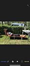 Lekker kamperen!!, foto 1125x2436, 1 reacties, 16 stemmen