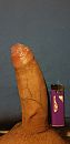 Lekker nat, foto 1944x4000, 0 reacties, 5 stemmen