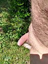 Lekker weer om te maaien?, foto 2976x3968, 3 reacties, 9 stemmen