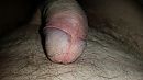 Lekker?, foto 2048x1152, 1 reacties, 2 stemmen