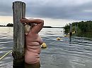 Lekker, foto 4000x3000, 14 reacties, 142 stemmen