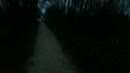 Lekkere wandeling..., film 00:00:00, 2 reacties, 10 stemmen