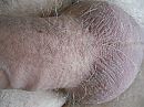 Lekkere balletjes, foto 2048x1536, 1 reacties, 4 stemmen