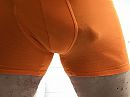 Ligt mooi in de boxer, foto 1280x960, 17 reacties, 38 stemmen