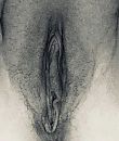 Men poesje, foto 967x1135, 26 reacties, 85 stemmen