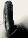 Met een zwart-wit filtertje.., foto 1994x2656, 2 reacties, 8 stemmen