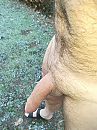 Met zo'n vacht kun je ook, foto 2976x3968, 2 reacties, 10 stemmen