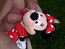 Mickey pijpt, foto 4000x3000, 1 reacties, 6 stemmen