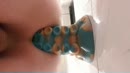 Mijn bad dragon, film 00:00:21, 8 reacties, 22 stemmen