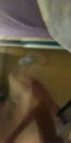 Mijn spuitvideo, film 00:00:06, 21 reacties, 73 stemmen