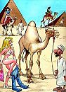 Miracle Camel, foto 328x450, 1 reacties, 11 stemmen