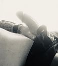 Misty morning, foto 1813x2046, 1 reacties, 3 stemmen