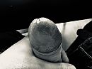 Mmm is, foto 4000x3000, 0 reacties, 1 stemmen
