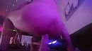 Mmm, foto 1600x900, 8 reacties, 18 stemmen
