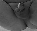 Mmmm, foto 2590x2224, 0 reacties, 2 stemmen