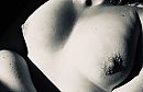 Mooi en teder, foto 3924x2564, 13 reacties, 92 stemmen