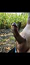 My pic, foto 1125x2436, 0 reacties, 1 stemmen