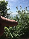 Naaktstrand, foto 3000x4000, 3 reacties, 29 stemmen
