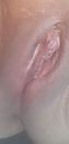 Nat, foto 1944x4000, 38 reacties, 145 stemmen