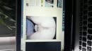 Neither here, film 00:00:09, 1 reacties, 3 stemmen