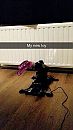 New toy (Hismith), foto 720x1280, 10 reacties, 66 stemmen