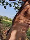 Nog in drongen, foto 2208x2944, 2 reacties, 16 stemmen