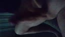 Ochtendrukje..., film 00:00:26, 5 reacties, 24 stemmen