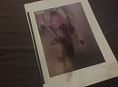 On opdracht, foto 2592x1936, 0 reacties, 0 stemmen