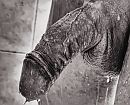 Onder de douche, foto 1467x1187, 3 reacties, 10 stemmen