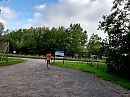 Onscherp, foto 1000x750, 2 reacties, 14 stemmen