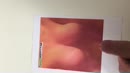 Op speciaal verzoek, film 00:00:24, 15 reacties, 28 stemmen