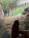 Op de hooizolder, foto 3000x4000, 5 reacties, 21 stemmen